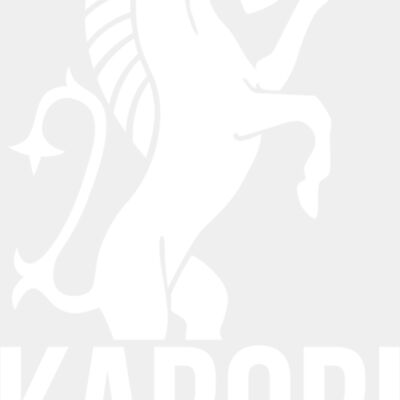 T Shirt Logo WHITE Thumbnail