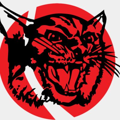 Wildcats Logo Thumbnail